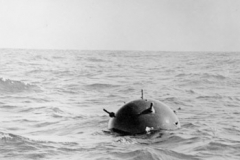 012_Mina_in_adriatico