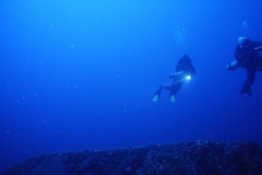 imm36_big